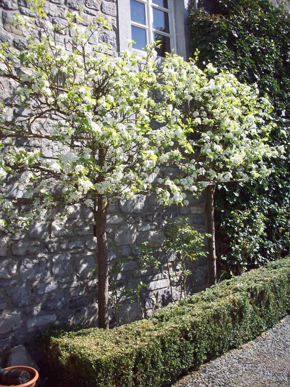 B&B La Buissonniere Xhoris Exterior foto