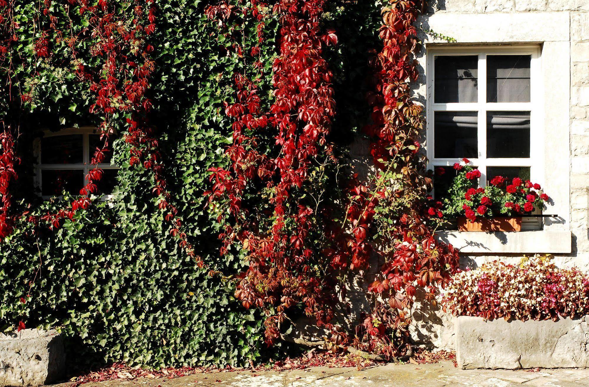 B&B La Buissonniere Xhoris Exterior foto